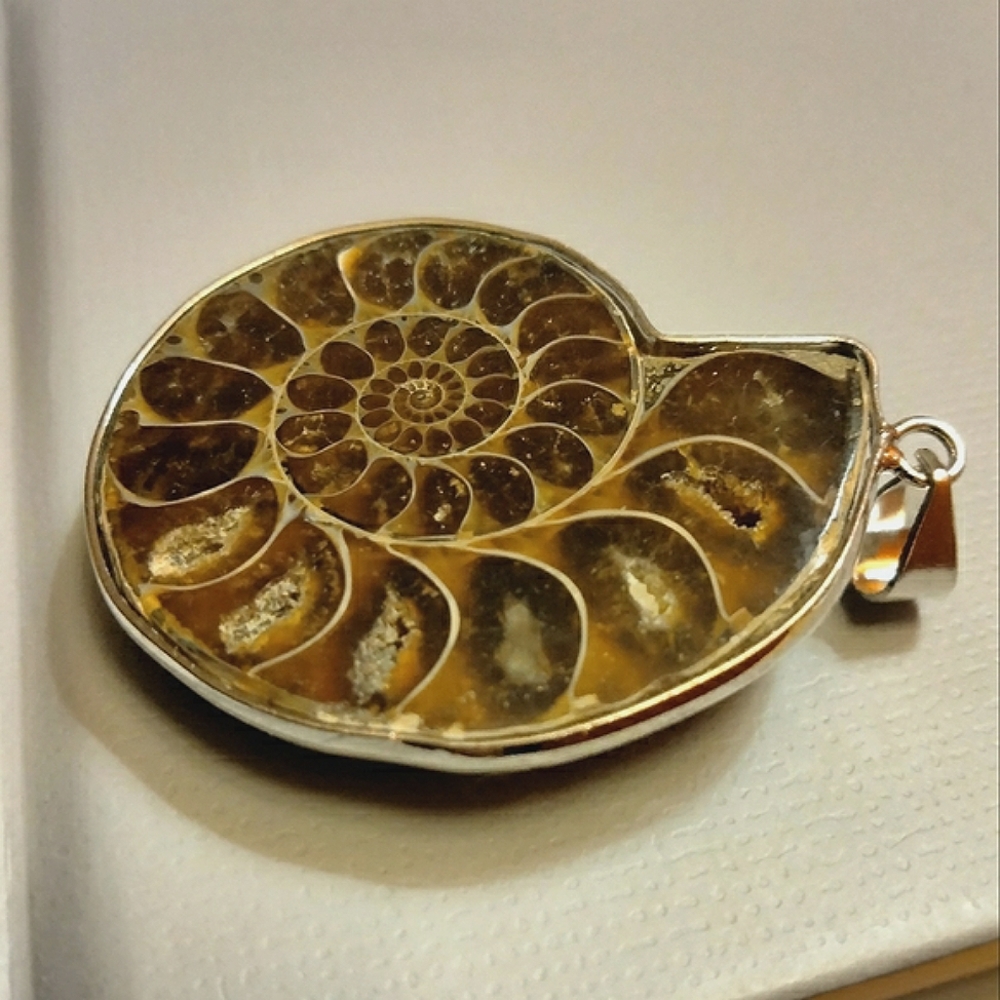 Ammonite Fossil Pendant (A) !!(Free gift included)!!